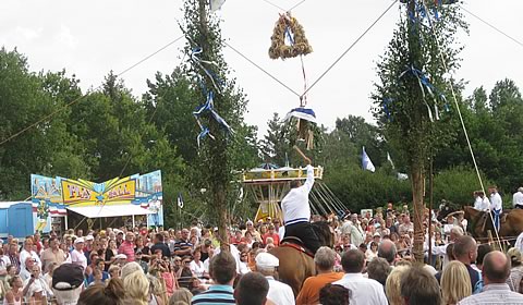 Ferienhaus Fischland Dar Zingst/ Ferienhaus Windflchter / Ferienhaus Zingst - Willkommen in unserem Ferienhaus auf der Ostsee-Halbinsel Fischland-Dar-Zingst im Nationalpark Vorpommersche Boddenlandschaft. Unser Ferienhaus finden Sie im Erholungsort Born am Dar in sehr ruhiger Lage fernab der Durchgangsstrassen.